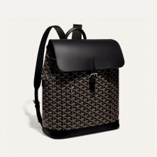 GOYARD 고야드 알팡 백팩 MM ALPIN2MMLTY01CL01P