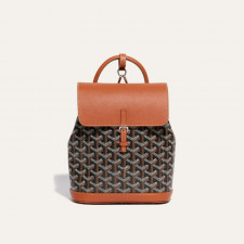 GOYARD 고야드 알팡 배팩 미니 브라운 ALPIN2MINTY01CL03P