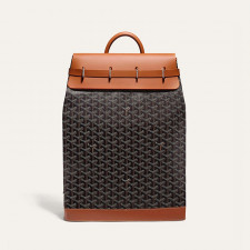 GOYARD 고야드 스티머 백 PM STEAM2PMLTY01CL03P